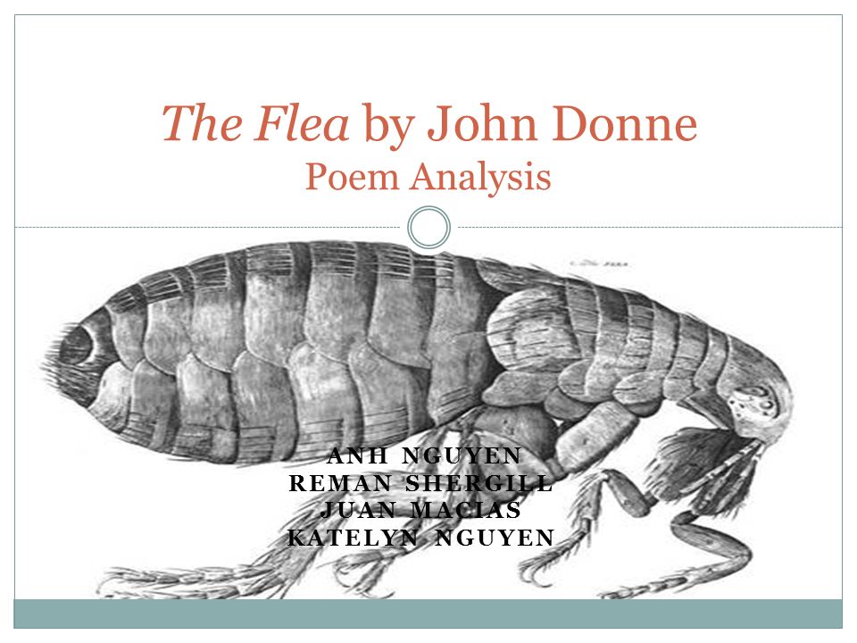 Literally analysis of the flea by john donne
